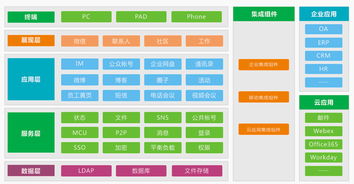 软件产品与软件服务 数字化时代的双轮驱动